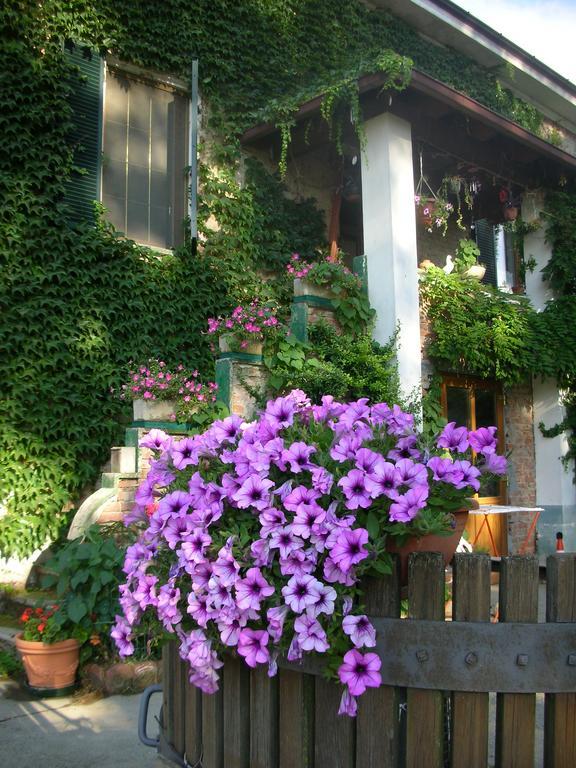 Willa Cascina Beneficio Castelnuovo Bormida Zewnętrze zdjęcie